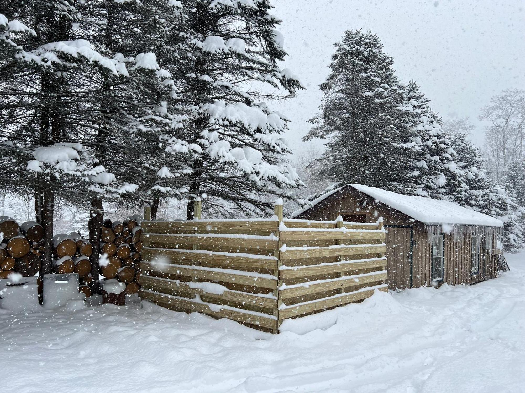 Timberline Lodge إليكوتفيل المظهر الخارجي الصورة